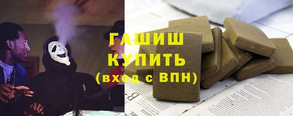 гашик Алексин