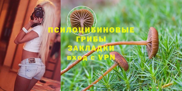 mix Алексеевка