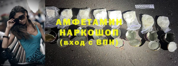 гашик Алексин