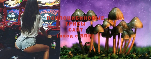 шишки Алзамай