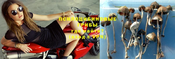 шишки Алзамай
